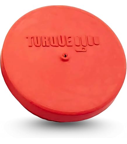 Hub Cap Plug- TR3595990